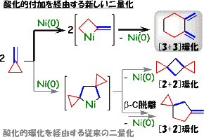 酸化的付加を経由する新しい二量化